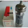 PL504
