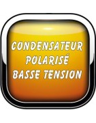 Condensateur polarisé basse tension